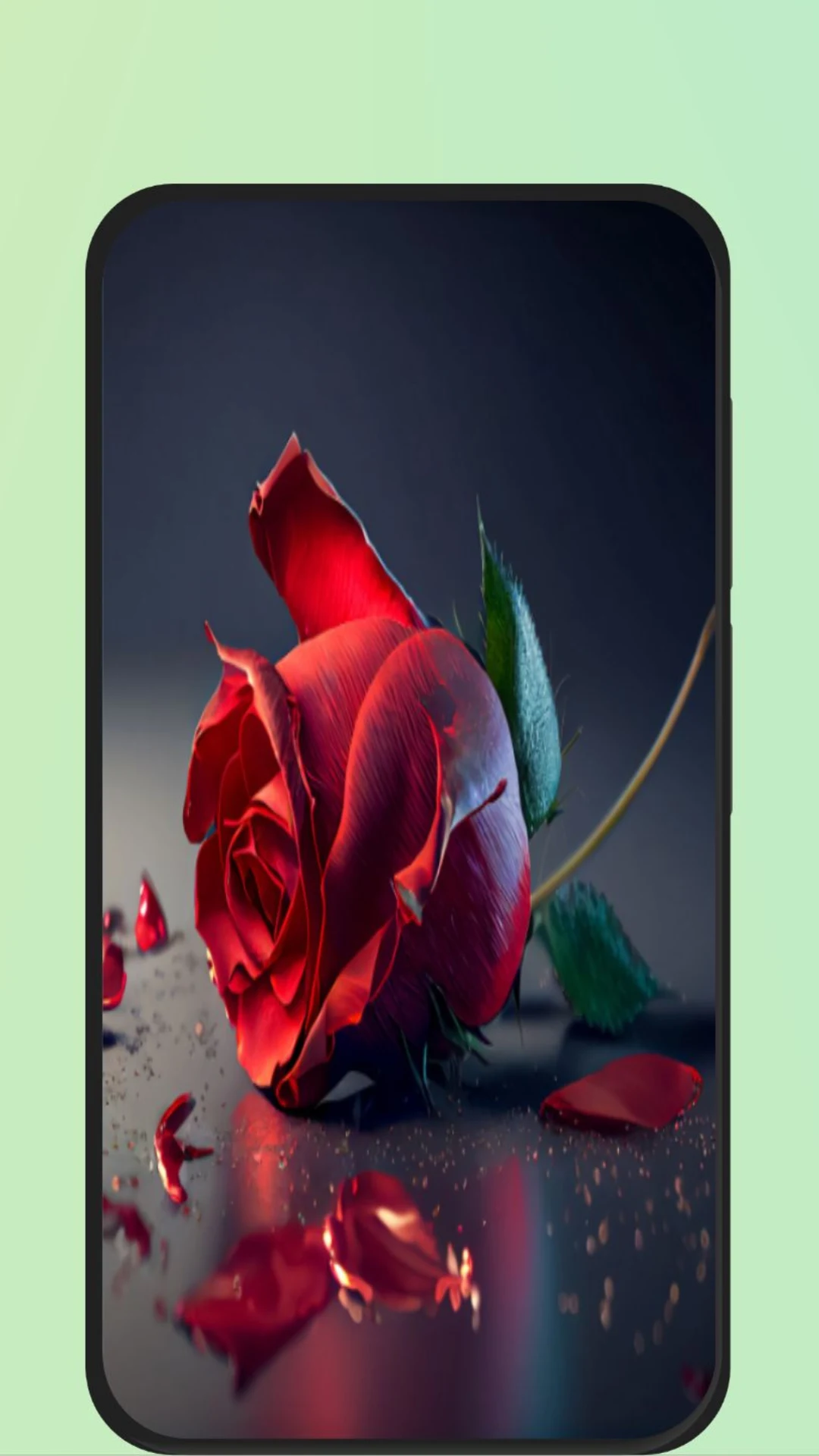 Rose Flower Images screenshot