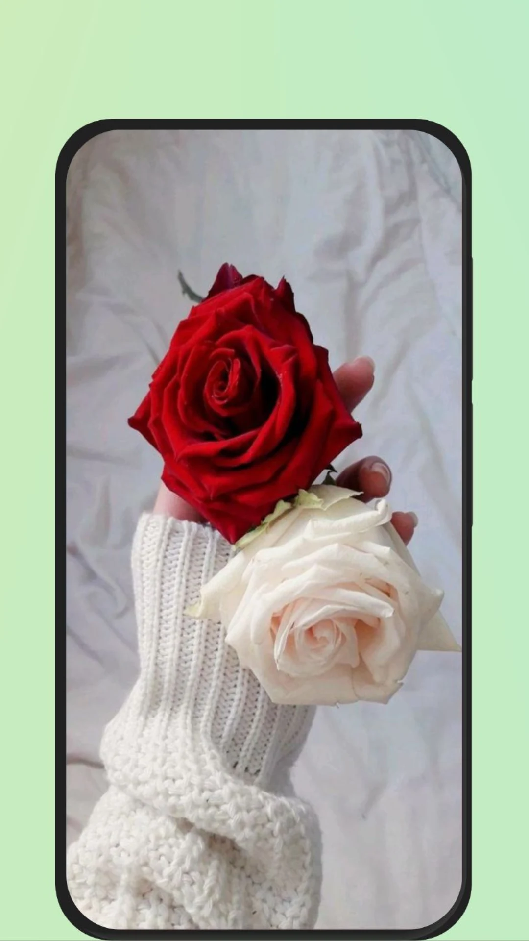 Rose Flower Images screenshot