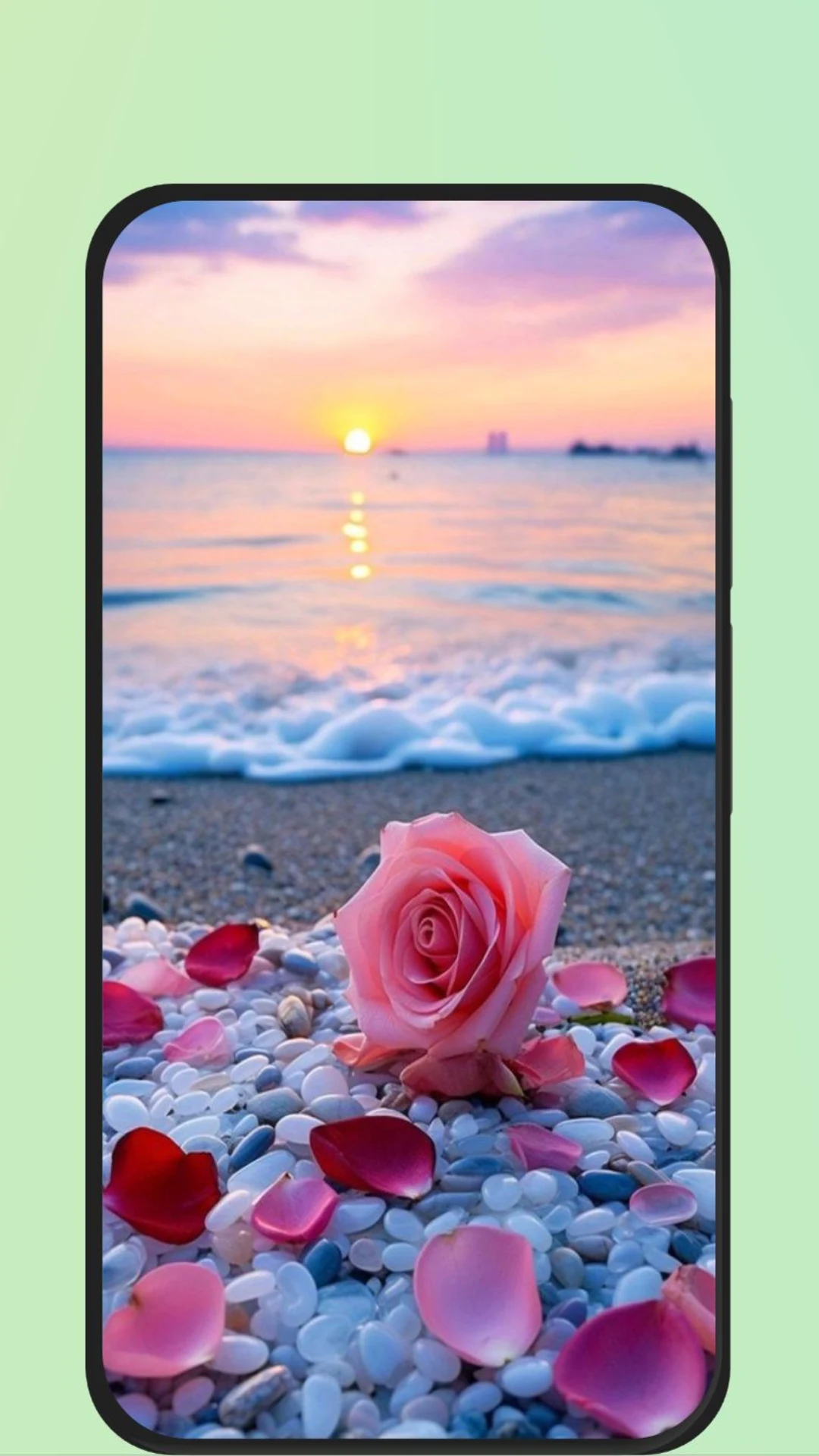 Rose Flower Images screenshot
