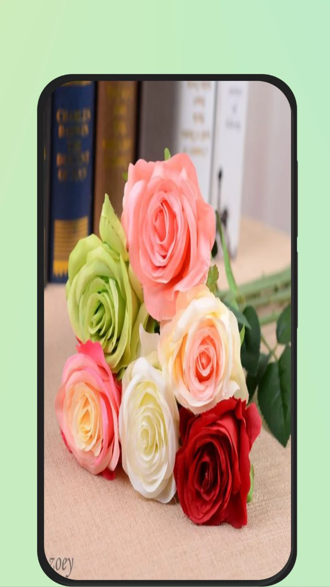 Rose Flower Images screenshot